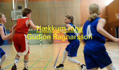IFC0105_frettabref_isl5